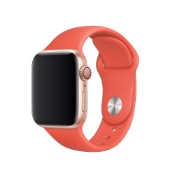 Eiroo Apple Watch Spor Kordon ( 42 mm ) - 10