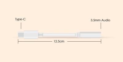 Eiroo USB Type-C 3,5 Jack Kulaklık Girişi Dönüştürücü Siyah Adaptör - 5